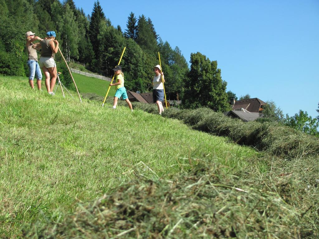 Lercherhof Feld am See Exterior photo